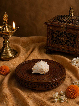 Shweta Divya Mini Pujan Shankh
