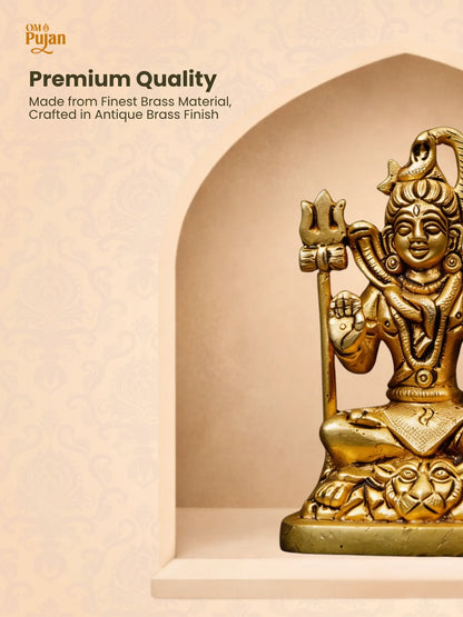Shiv Shakti Brass Murti – Classic Edition