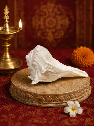 Shweta Divya Shank