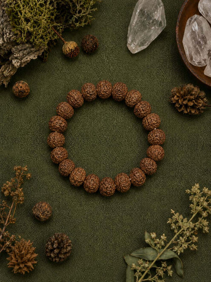 7 Mukhi Rudraksha Prosperity Bracelet