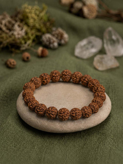6 Mukhi Rudraksha Kartikeya Bracelet