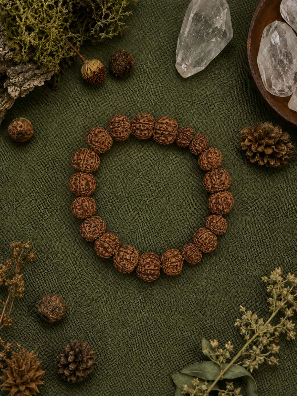 6 Mukhi Rudraksha Kartikeya Bracelet