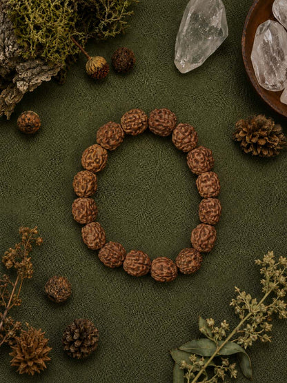 4 Mukhi Rudraksha Brahma Bracelet